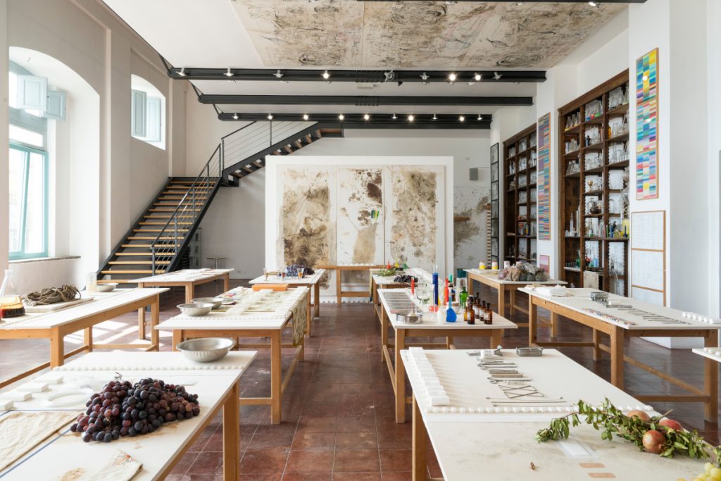 Museo Nitsch Allestimento 2024-2026