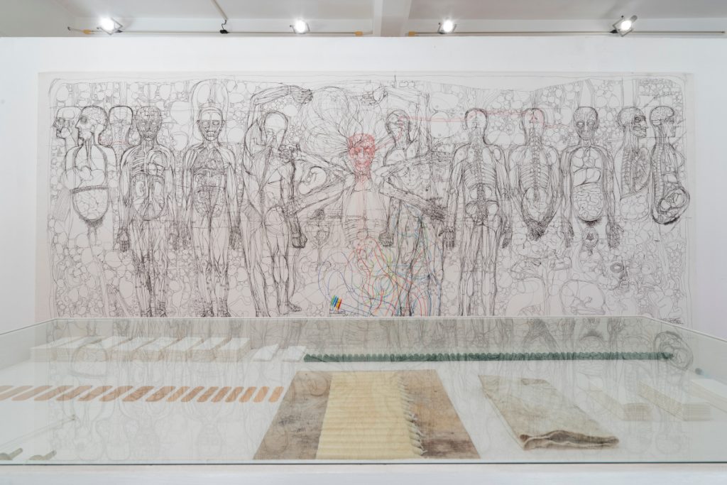 Museo Nitsch Allestimento 2024-2026