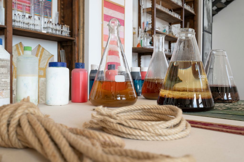 Museo Nitsch Allestimento 2024-2026