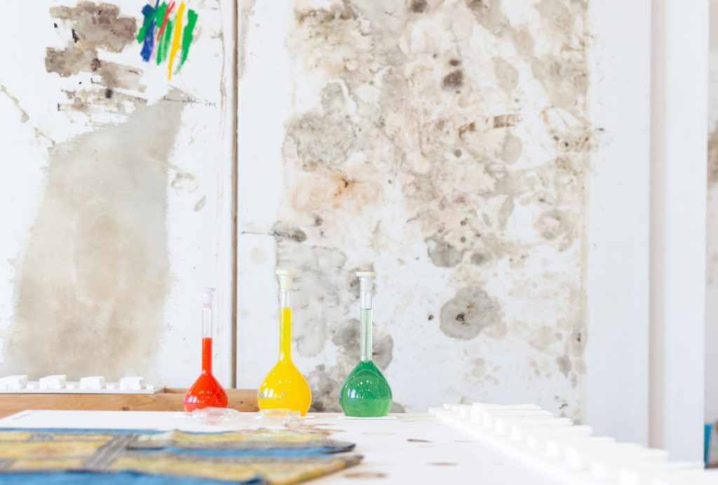 Museo Nitsch Allestimento 2024-2026